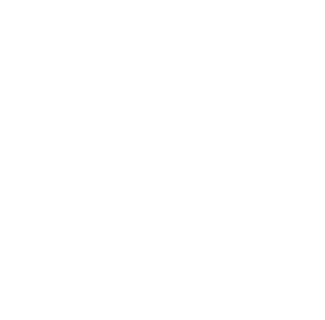 drMCT Lion Head Logo